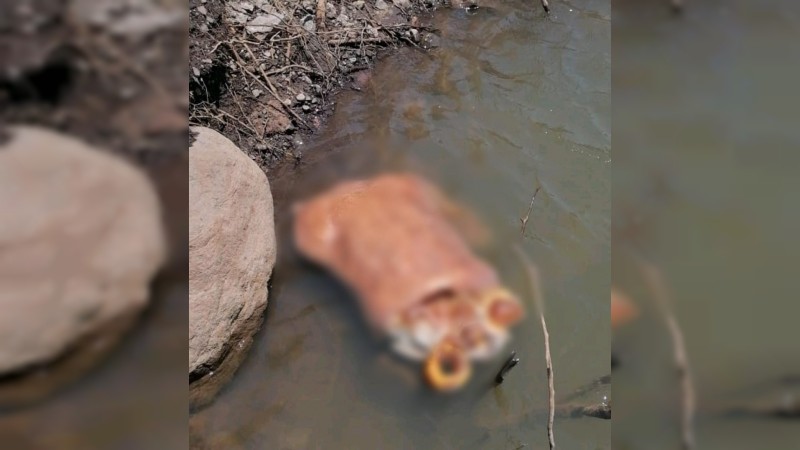 Localizan el torso de un hombre flotando en la presa Francisco J. Múgica