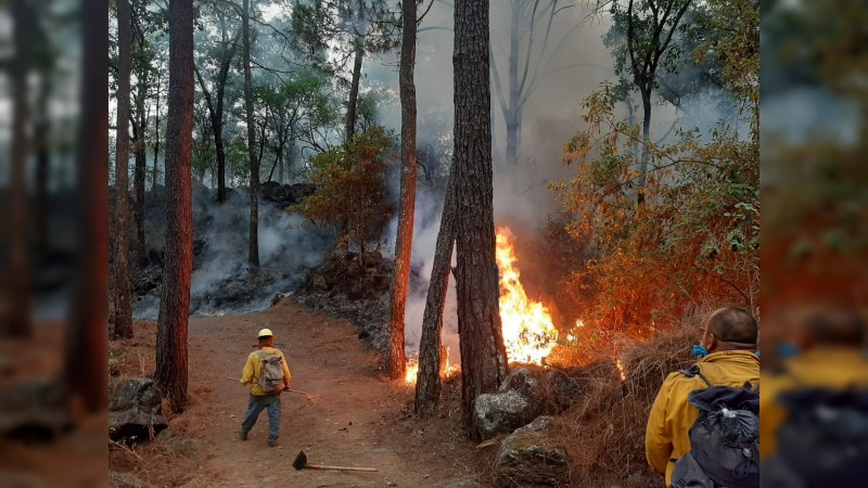 Arde área protegida en el Parque Nacional de Uruapan  