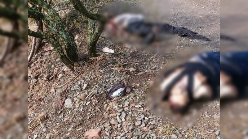 Tiran 2 cadáveres, en brecha de Álvaro Obregón 