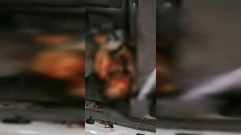 Dejan cadáver dentro de una camioneta abandonada, en Tangancícuaro 