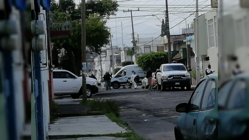 Michoacán: suman 17 muertos en distintas partes del estado, en menos de 24 horas  