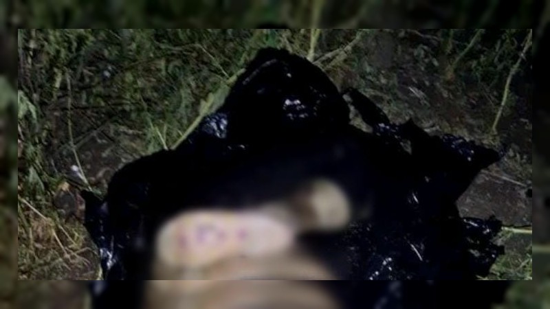 En 2 bolsas negras tiran cadáver descuartizado de una mujer, en Apatzingán 