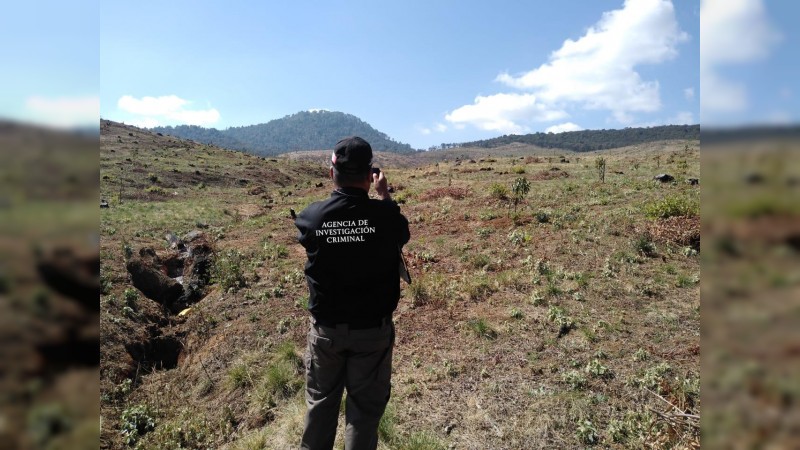 Aguacateros arrasan con cuatro kilómetros de vegetación; FGR ya investiga