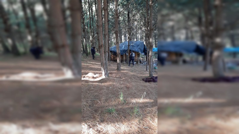 Revientan policías y militares 3 narcocampamentos, en Salvador Escalante  