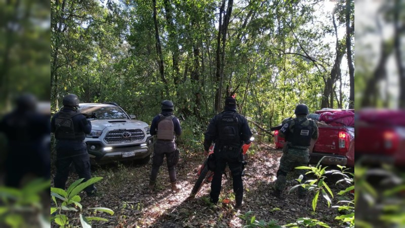 Destruyen policías y soldados otros 2 narcocampamentos, en Salvador Escalante 
