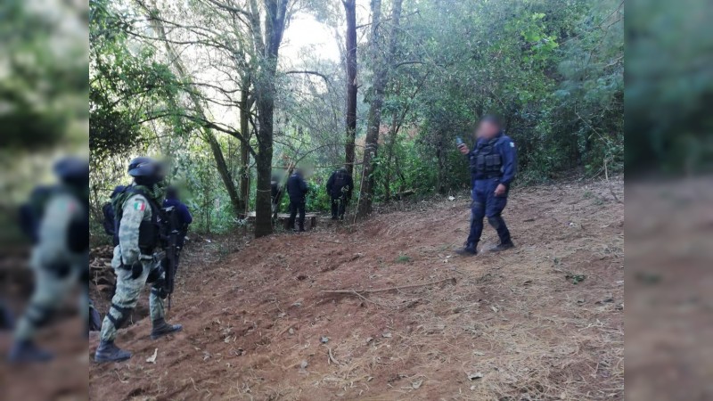 Mediante operativo, se destruyen 3 narcocampamentos, en Salvador Escalante y detienen a 21 personas