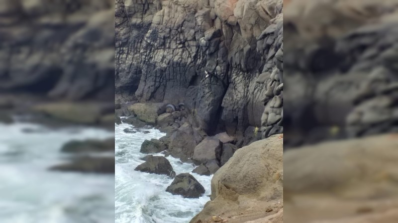 Bomberos rescatan a un can, que se encontraba en un acantilado  