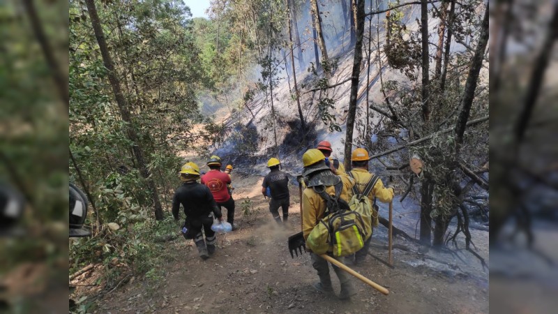 Arde bosque en Ciudad Hidalgo y no hay apoyo 