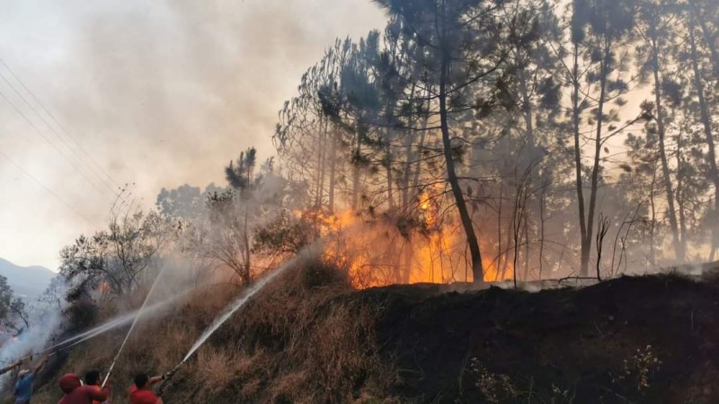 Brigadas mantienen intensa labor para sofocar incendio, en Los Reyes  