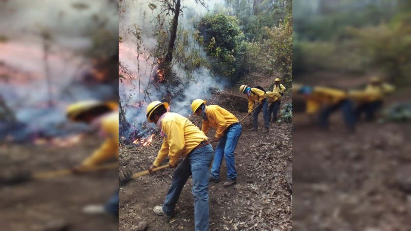 Por aire y tierra, brigadistas combaten incendios forestales en 4 municipios  