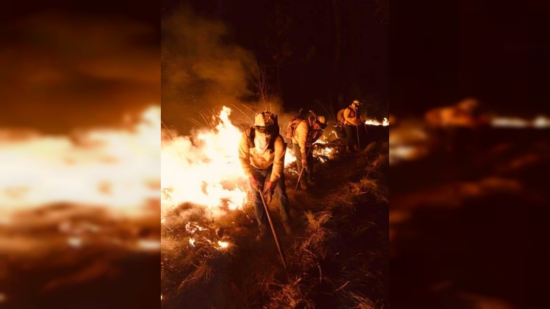 Brigadistas y bomberos impidieron que se propagara incendio, en Cerro de la Cruz 