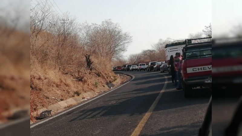 Pese a presencia policial, delincuentes volvieron a trozar carretera de Aguililla 