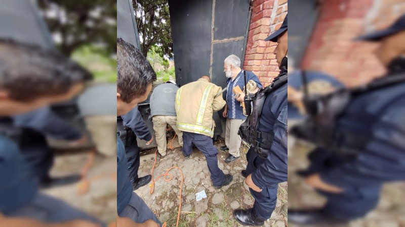 Bomberos capturan a un puma que deambulaba, en Zitácuaro; atacó a un hombre 