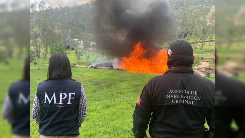 Incineran más de una tonelada de drogas, aseguradas en Michoacán  